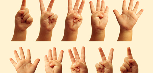 Sign Language