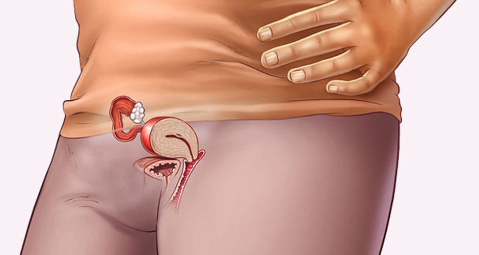 Những thay đổi của thai nhi tuần thứ 4