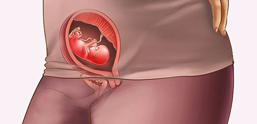 13 week pregnant