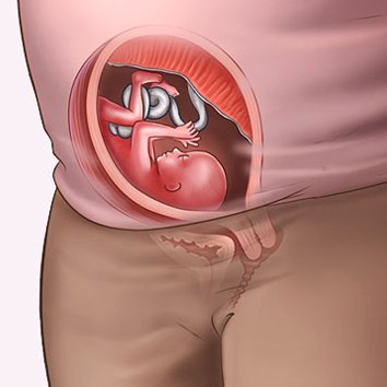 Những thay đổi của thai nhi tuần thứ 16