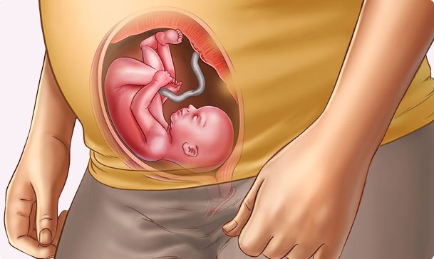Những thay đổi của thai nhi tuần thứ 23