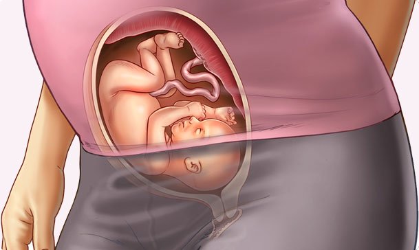Thai nhi tuần 26 và những thay đổi
