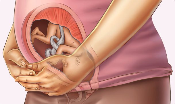 Những thay đổi của thai nhi tuần thứ 27