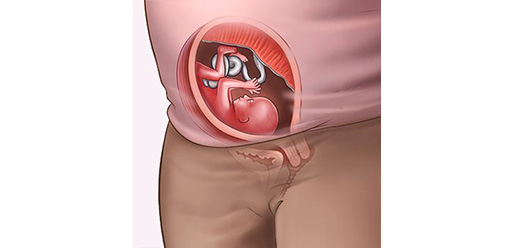 Những thay đổi của thai nhi tuần thứ 16