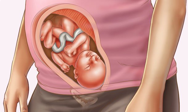 Thai nhi tuần 28 và những thay đổi