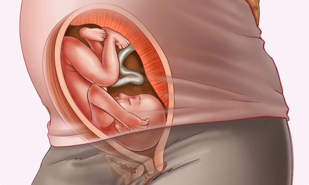 Những thay đổi của thai nhi tuần thứ 29