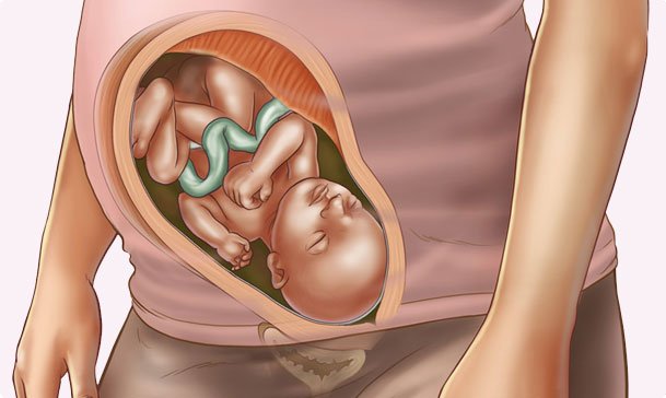 Những thay đổi của thai nhi tuần thứ 33