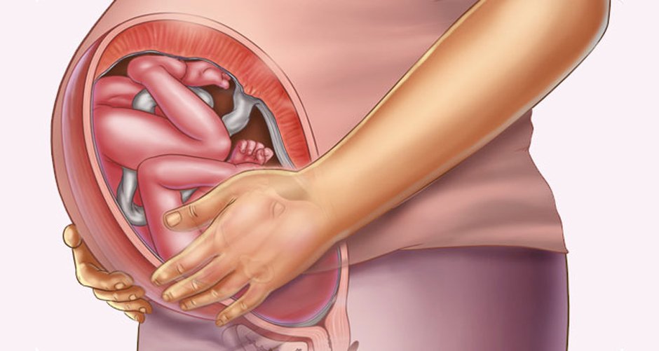 Những thay đổi của thai nhi tuần thứ 36
