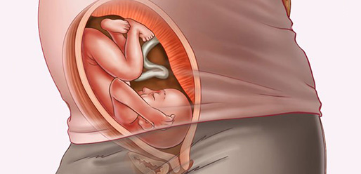 29 week pregnant