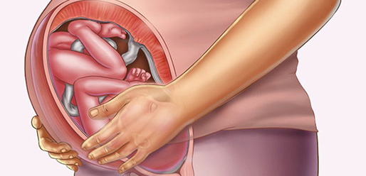 Những thay đổi thai nhi tuần thứ 36