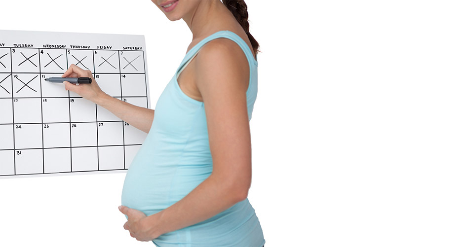 Your-Very-Own-Ovulation-Calculator
