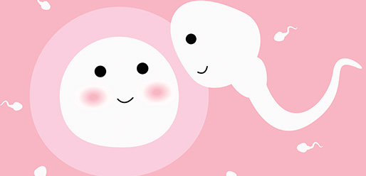Facts You Didn't Know About Ovulation