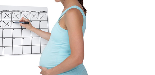 Your-Very-Own-Ovulation-Calculator